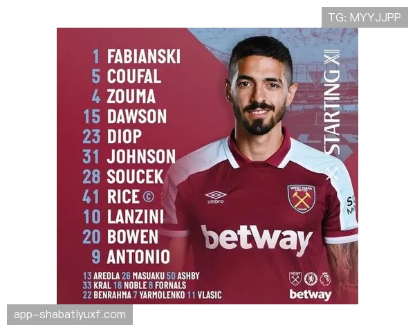 帕利尼亚 vs 赖斯：覆盖能力与全面性的对比